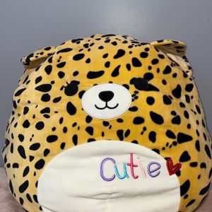 Squishmallow. I brought it from Walmart for $25.